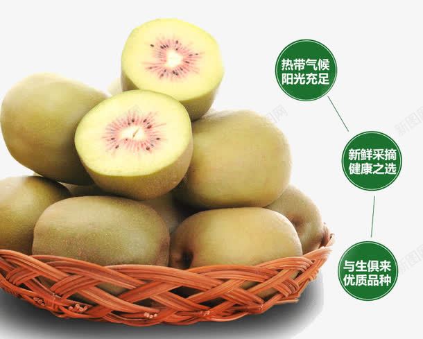新鲜的红心猕猴桃png免抠素材_新图网 https://ixintu.com 产品实物 新鲜 水果 红心猕猴桃