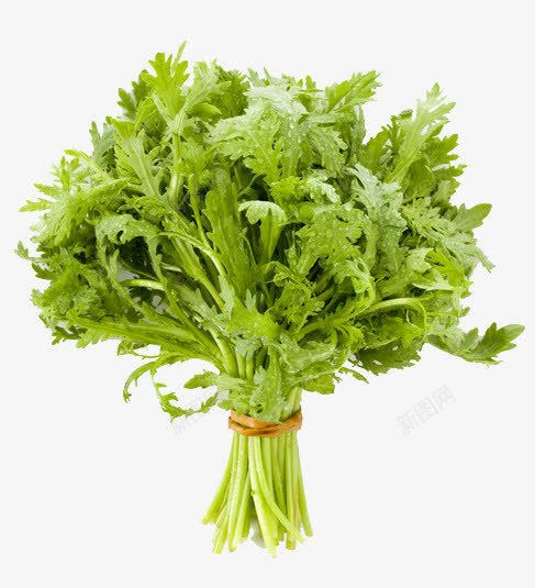 新鲜茼蒿png免抠素材_新图网 https://ixintu.com 一捆茼蒿 实物 新鲜茼蒿 绿色 茼蒿 蔬菜 食材 香菇青菜