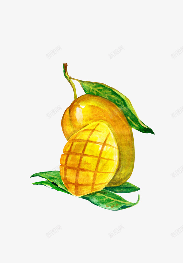 手绘的芒果png免抠素材_新图网 https://ixintu.com PNG图形 PNG装饰 水果 绿叶 芒果 装饰