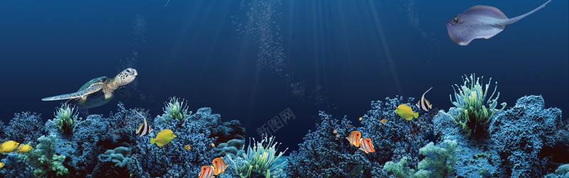 蓝色梦幻海底世界促销bannerpsd设计背景_新图网 https://ixintu.com 促销banner 梦幻 海产 海底世界 海洋 海鲜美食促销 蓝色 鱼类