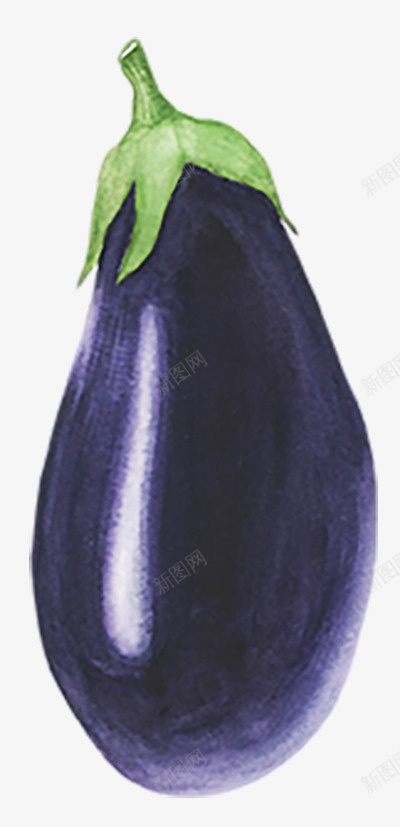 手绘茄子蔬菜png免抠素材_新图网 https://ixintu.com png 手绘 茄子 蔬菜