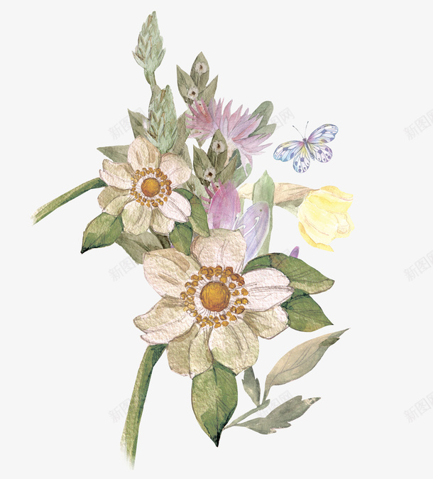 水彩植物花卉png免抠素材_新图网 https://ixintu.com png花卉 唯美花卉 布料印花 明信片花卉图案 水彩花卉 花朵 蝴蝶 贺卡