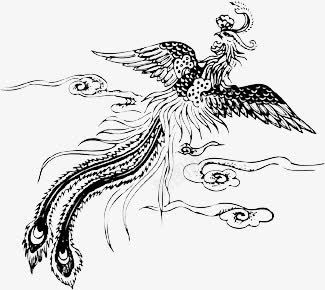 手绘黑色线条凤凰装饰png免抠素材_新图网 https://ixintu.com 凤凰 手绘 线条 装饰 黑色