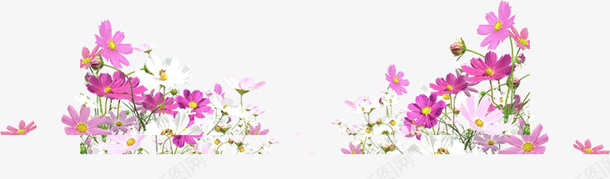 百花盛开装饰背景png免抠素材_新图网 https://ixintu.com 促销海报 天猫 淘宝 淘宝素材