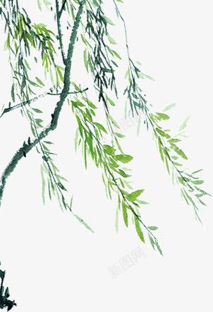 绿色杨柳png免抠素材_新图网 https://ixintu.com 垂杨柳 杨柳 绿叶 绿色