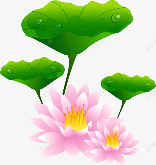 手绘荷花png免抠素材_新图网 https://ixintu.com AI 卡通 手绘 粉色 线条 花卉 荷叶 荷花 莲花 鲜花