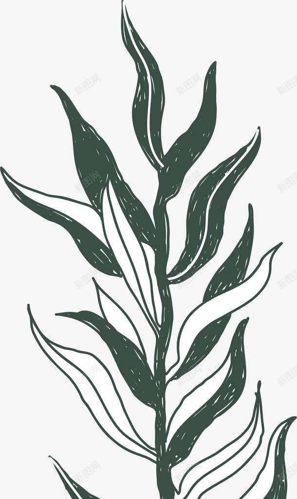 卡通装饰线条海洋生物海报海png免抠素材_新图网 https://ixintu.com 动物插画 卡通海洋生物 卡通装饰线条海洋生物海报设计海草免费下载 广告设计 旅游宣传册设计 海报设计 海草 简笔画线条海洋生物