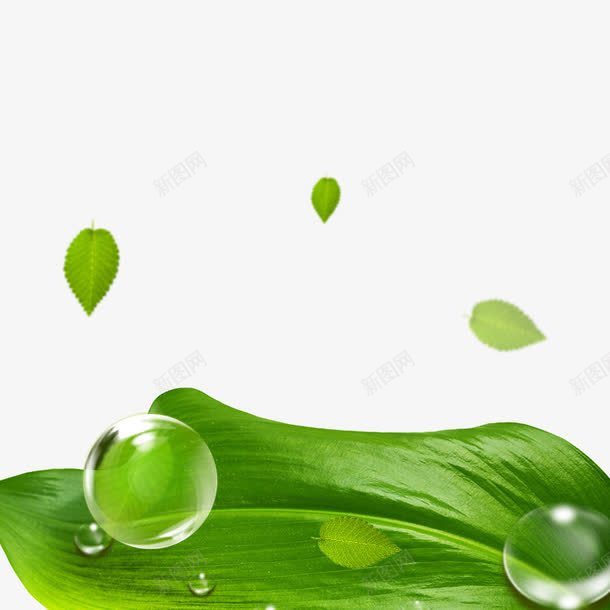 装饰护肤png免抠素材_新图网 https://ixintu.com 丝滑 护肤 水滴 水珠 纯天然 绿叶 绿色 美容 补水 装饰 高清