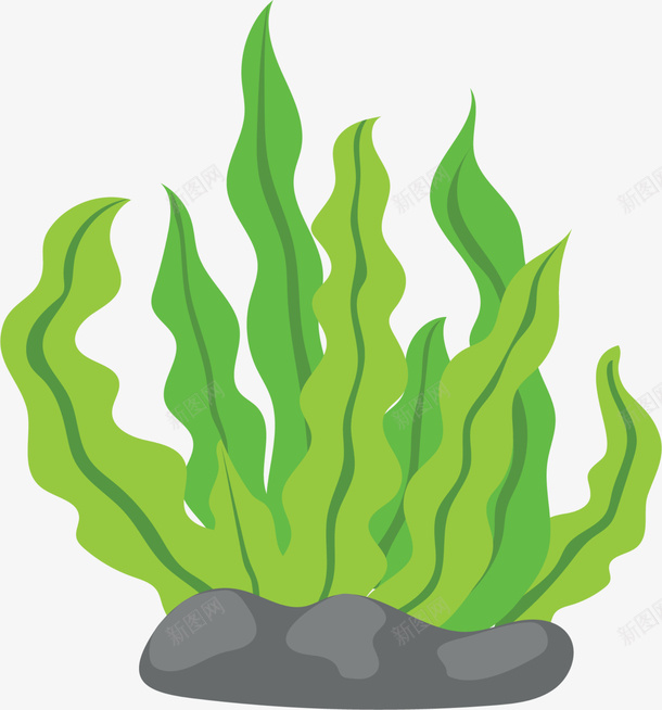 世界海洋日绿色海草png免抠素材_新图网 https://ixintu.com 世界海洋日 海洋植物 海洋生物 海草 海葵图片 灰色石头 绿色海草 绿色海藻