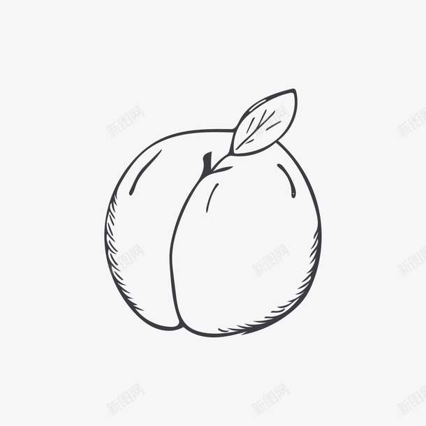 手绘桃子png免抠素材_新图网 https://ixintu.com 手绘画 桃子 水果 白桃 矢量装饰 装饰