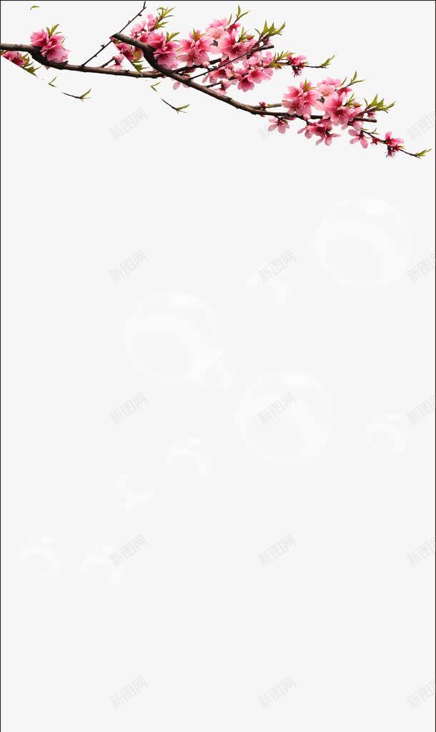 展板底纹png免抠素材_新图网 https://ixintu.com 制度背景 学校展板 学校板报 展板模板 展板装饰 底纹背景 底纹边框 春天 草地