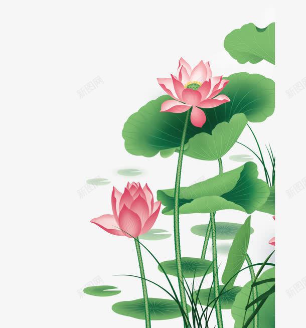 国画荷花png免抠素材_新图网 https://ixintu.com 国画荷花 工笔画荷花 立夏背景墙 荷花与诗 荷花图 荷花壁画 荷花客厅画 荷花画 荷花背景墙 荷花装饰画 菡萏