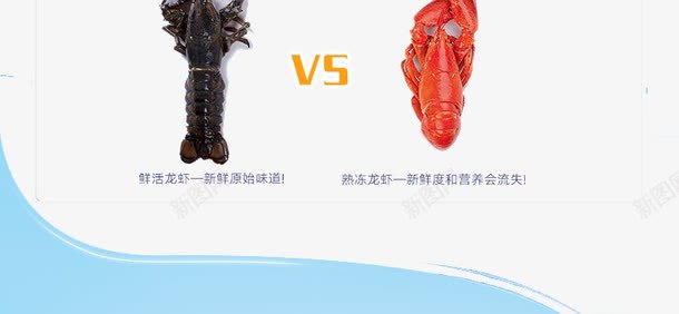 龙虾VS图png免抠素材_新图网 https://ixintu.com 淘宝详情页 质量比较图 龙虾VS