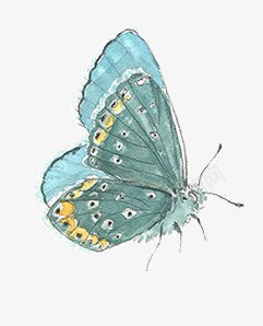 水彩合成飞舞的蓝色的蝴蝶png免抠素材_新图网 https://ixintu.com 合成 水彩 蓝色 蝴蝶 飞舞