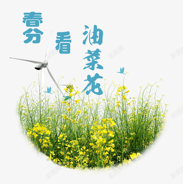 二十四节气之春分看油菜花主题psd免抠素材_新图网 https://ixintu.com 中国节气 二十四节气 传统节日 春分 春天 春季 油菜花 艺术字