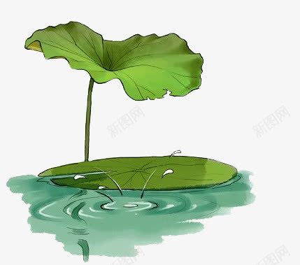 手绘水彩绘画夏日池塘荷叶png免抠素材_新图网 https://ixintu.com 夏日 手绘 水彩 池塘 荷花荷叶满池塘 绘画 荷叶