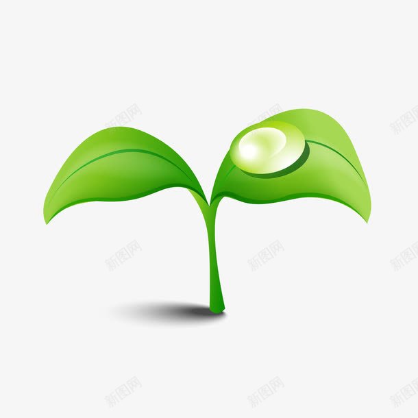 树苗png免抠素材_新图网 https://ixintu.com 发芽 树苗 水滴 绿色