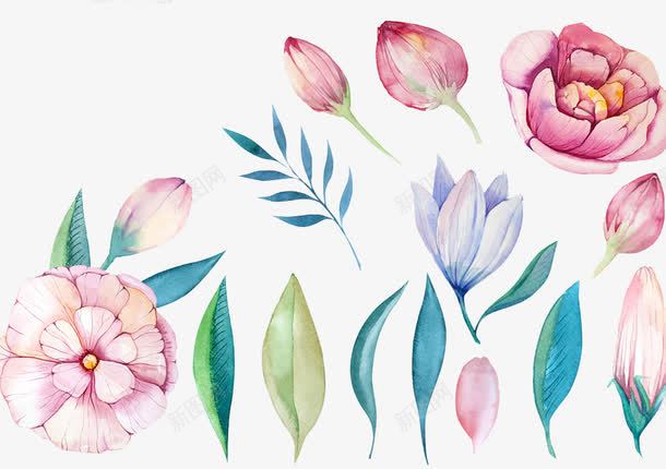 手绘花朵叶子png免抠素材_新图网 https://ixintu.com 彩绘花朵 手绘花纹 水彩花纹 水彩花纹图案 水粉图案 海报广告元件 矢量简约图 精美彩绘花朵叶子 艺术设计 设计元素