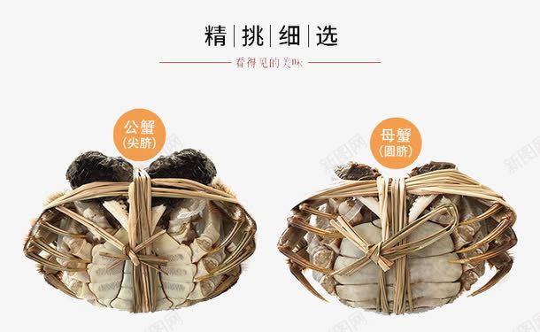 螃蟹详情页png免抠素材_新图网 https://ixintu.com 大闸蟹 螃蟹 详情页图片