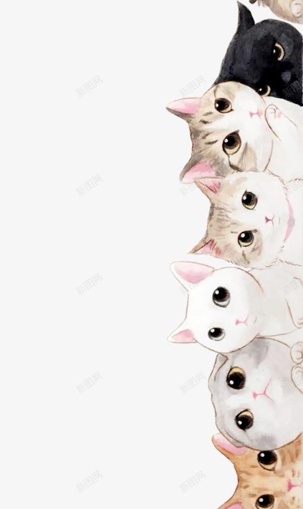 一排猫咪png免抠素材_新图网 https://ixintu.com 动物 可爱 填色练习 宠物 手绘猫咪 手绘猫狗 撸猫 猫 黑白黄