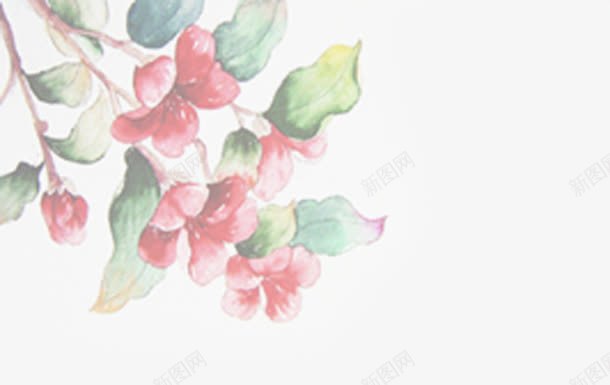 手绘红色花朵画册png免抠素材_新图网 https://ixintu.com 画册 红色 花朵