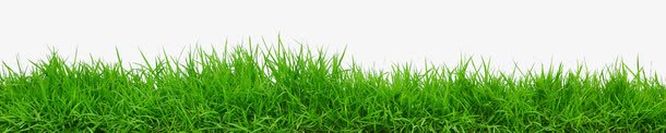 绿色植物小清新草堆春天png免抠素材_新图网 https://ixintu.com 春天 清新 绿色植物