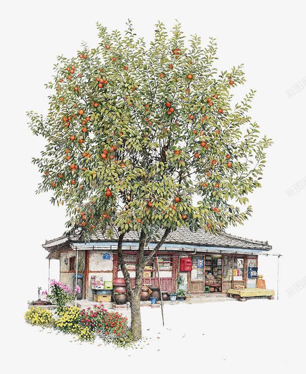 手绘橘子树下的杂货店png免抠素材_新图网 https://ixintu.com 便利店 便利店招牌 手绘 杂货店 超市 韩国
