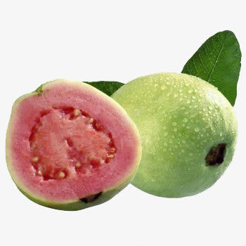 台湾芭乐png免抠素材_新图网 https://ixintu.com 减肥 水果 瘦身 美食 芭乐