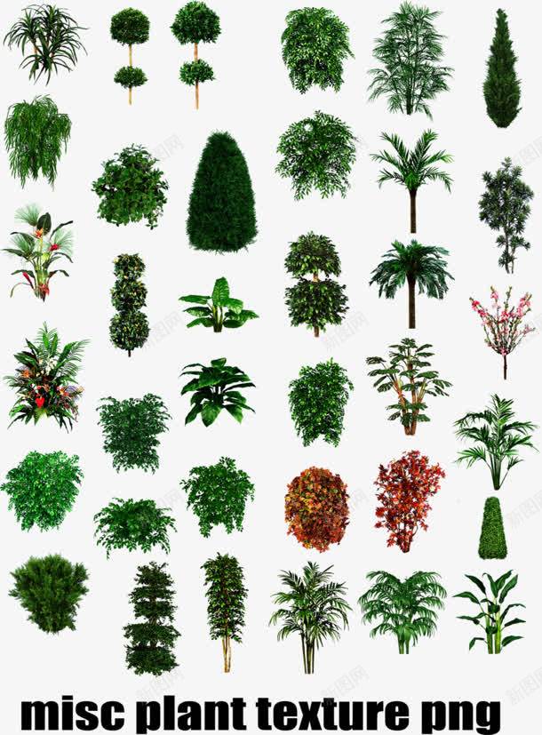 绿色植物树木灌木丛图标png_新图网 https://ixintu.com 图标 树木 植物 灌木丛 绿色