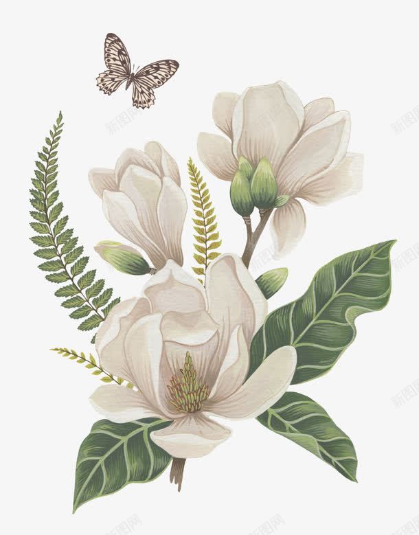 白色花朵蝴蝶手绘png免抠素材_新图网 https://ixintu.com 白色 花朵 蝴蝶