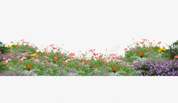 花草植物png免抠素材_新图网 https://ixintu.com 实物 春天 植物 绿色 花草 草丛 草地