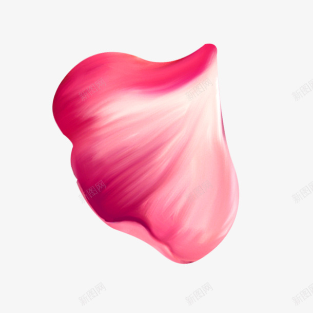 粉红色散落玫瑰花瓣png免抠素材_新图网 https://ixintu.com 散落 深粉红 玫瑰 粉色 花瓣