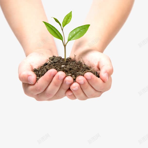 手捧植物png免抠素材_新图网 https://ixintu.com 双手 手捧 植物 泥土 爱心