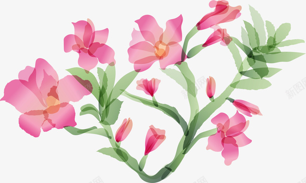 粉色美丽花藤植物png免抠素材_新图网 https://ixintu.com 春天 春季 水彩花朵 粉色植物 花藤 装饰图案 鲜花
