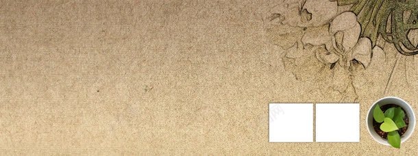 婚纱照简约古典风背景bannerjpg设计背景_新图网 https://ixintu.com banner 古典风 婚纱照 盆栽 简约 绿色 背景