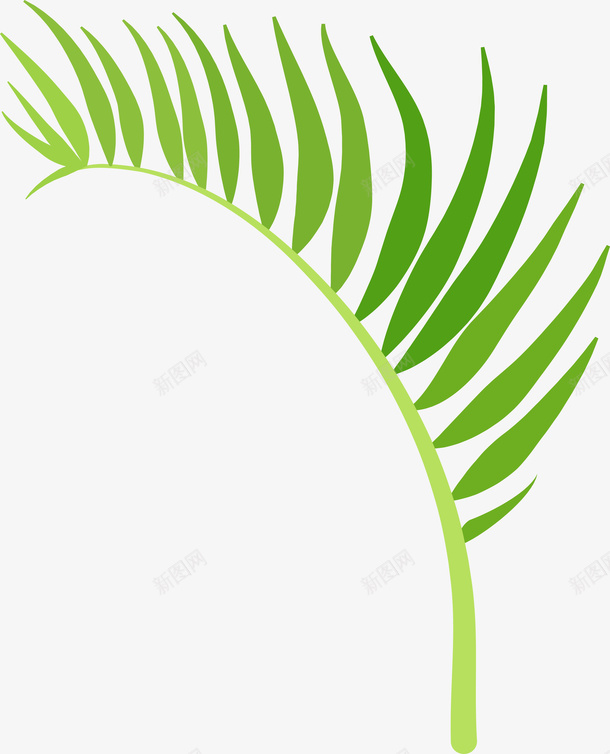 绿色叶子矢量图ai免抠素材_新图网 https://ixintu.com 夏天 异国情调 手绘 树叶 树木 棕榈叶 棕榈叶子 棕榈树 植物 热带 热带棕榈芭蕉叶 热带植物 环境 绘画 自然 矢量图