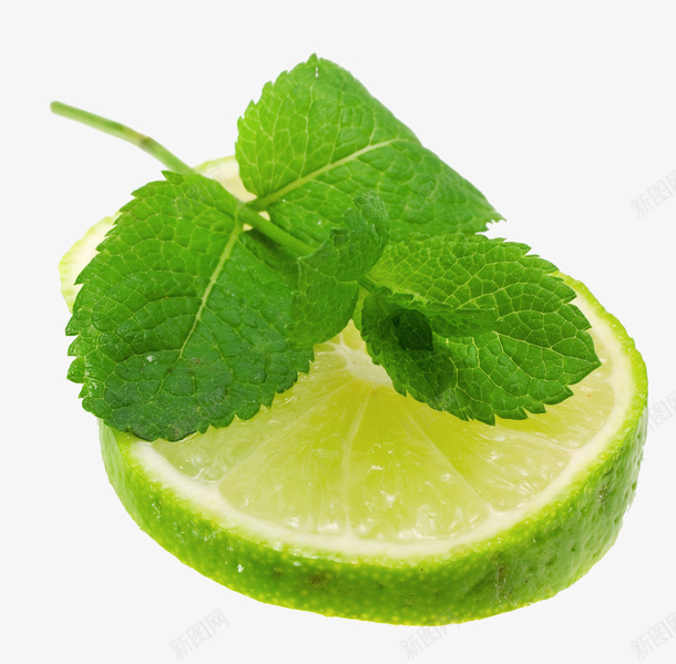 青柠薄荷png免抠素材_新图网 https://ixintu.com 实物 新鲜水果 柠檬切片 绿色 药草 薄荷 青柠檬 青柠薄荷