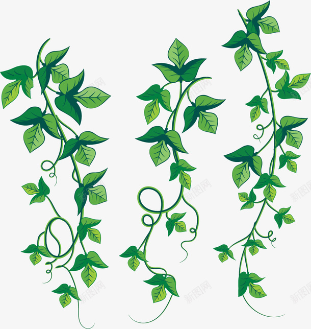 迷你风格长款藤蔓矢量图eps免抠素材_新图网 https://ixintu.com 卡通常春藤 植物藤蔓 矢量常春藤 藤蔓 迷你风格 长款 矢量图