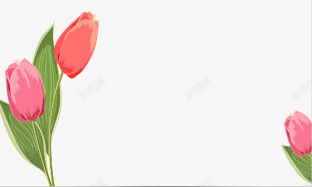 名片底图png免抠素材_新图网 https://ixintu.com 花朵名片名片底图花纹名片
