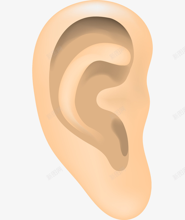 黄色卡通耳朵装饰png免抠素材_新图网 https://ixintu.com 人体耳朵 免抠图 卡通耳朵 手绘耳朵 效果图 耳朵 黄色耳朵