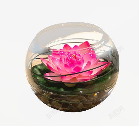 wo仿真花假花睡莲莲花png免抠素材_新图网 https://ixintu.com wo仿真花假花睡莲莲花 产品实物 家居装饰摆件 荷花花艺 配球形玻璃花瓶套装