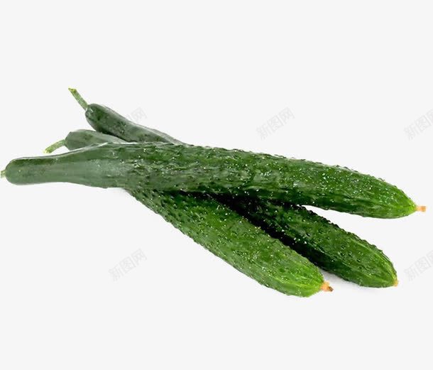 有机黄瓜png免抠素材_新图网 https://ixintu.com 新鲜黄瓜 有机蔬菜 绿色 美食 蔬菜 黄瓜免抠素材