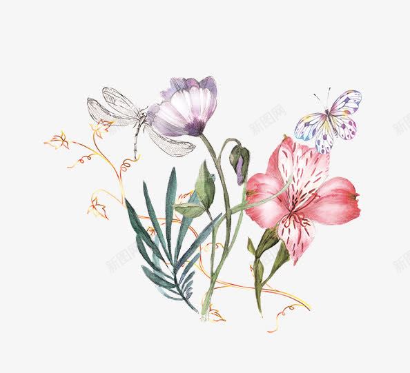 小清新手绘花朵装饰png免抠素材_新图网 https://ixintu.com 小清新 手绘树叶 手绘玫瑰 手绘画 手绘花朵 手绘花草 树木植物 花朵装饰 花草装饰设计