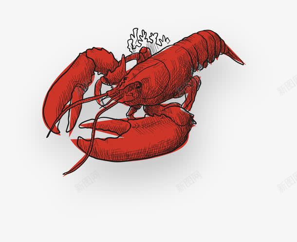 手绘线条绘画食物小龙虾png免抠素材_新图网 https://ixintu.com 小龙虾 手绘 红色 线条 绘画 食物
