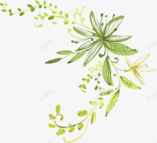 手绘绿色花朵植物花草png免抠素材_新图网 https://ixintu.com 植物 绿色 花朵 花草