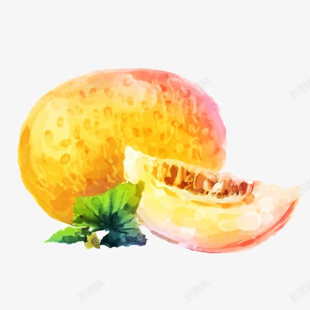 水彩哈蜜瓜png免抠素材_新图网 https://ixintu.com 卡通哈蜜瓜 彩色哈密瓜 水墨水果 水彩哈蜜瓜矢量素材