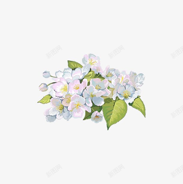手绘水彩杏花装饰图案png免抠素材_新图网 https://ixintu.com PNG 手绘 杏花 水彩 装饰图案