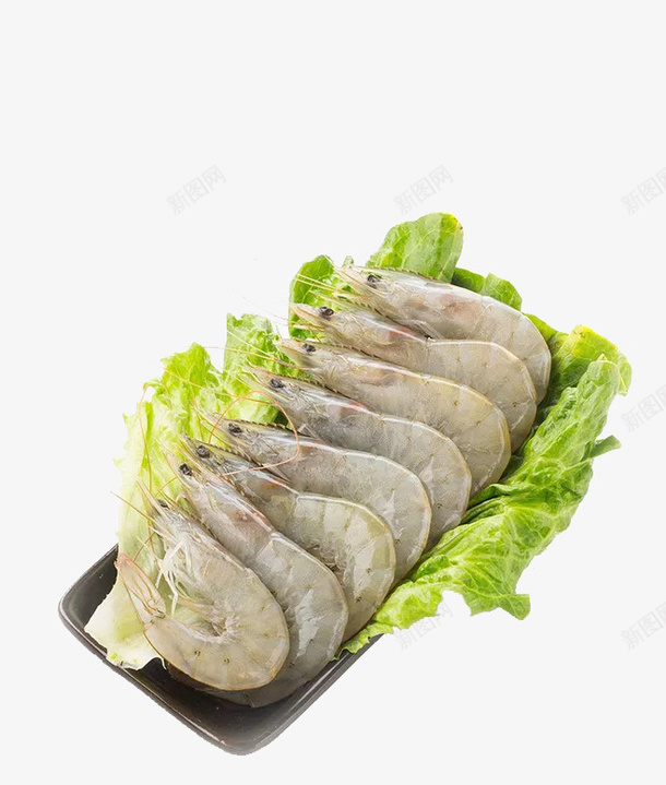 热带南美对白虾png免抠素材_新图网 https://ixintu.com 南美对白虾 南美白对虾 护理 海鲜 竹节虾 维生素 美食 虾类 蛋白质