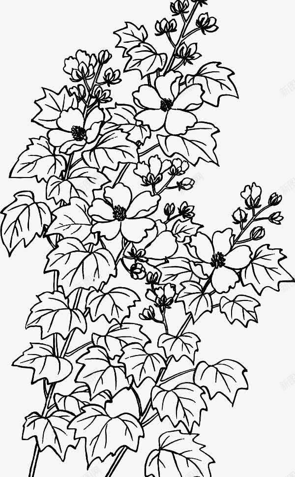 黑白线形花png免抠素材_新图网 https://ixintu.com 线型花纹 线条 花朵 花瓣 黑色
