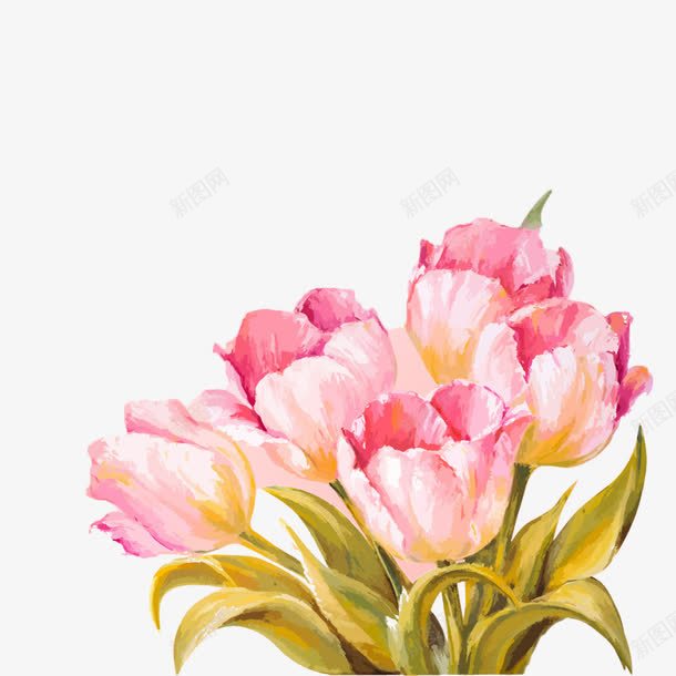 油画般郁金香png免抠素材_新图网 https://ixintu.com 手绘 油画 油画jpg 花 花儿 花卉 花朵 装饰 郁金香 郁金香粉 鲜花